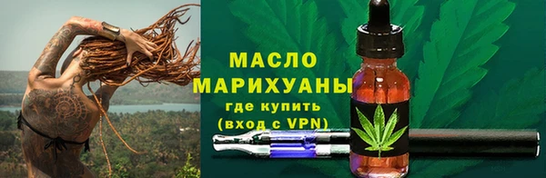 дмт Краснослободск