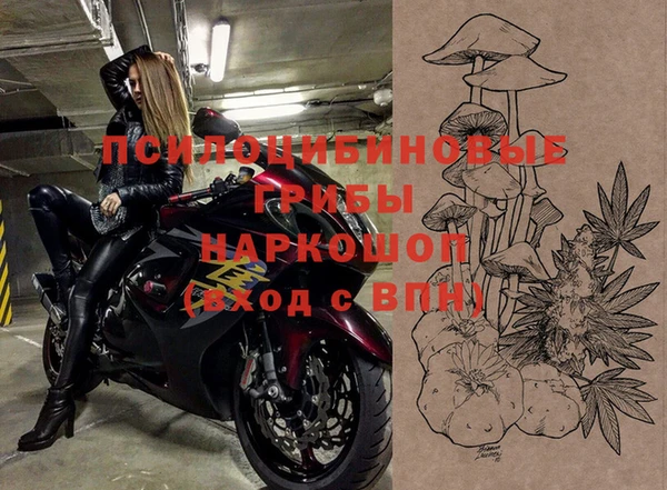 дмт Краснослободск