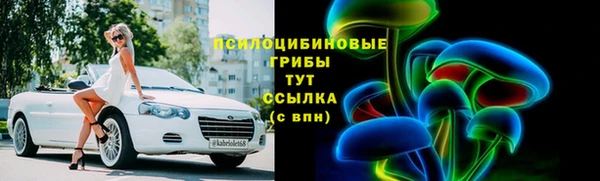 сатива Куйбышев