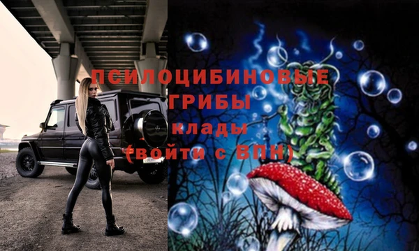 дмт Краснослободск