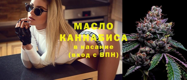 дмт Краснослободск