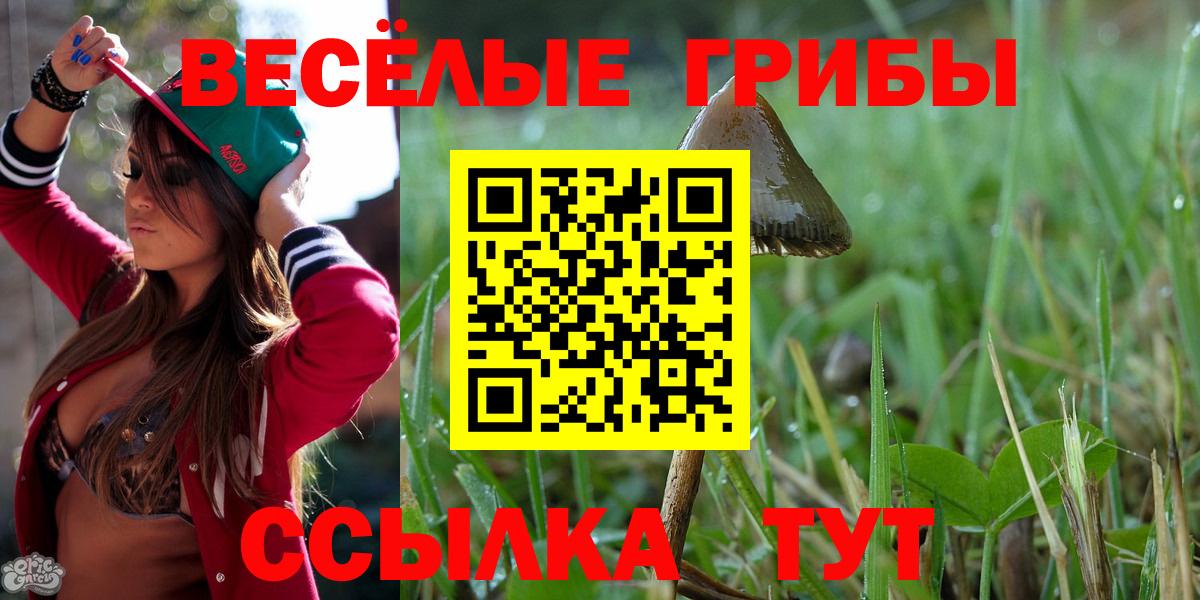 Людиново  Псилоцибиновые грибы ЛСД  Вход с VPN 